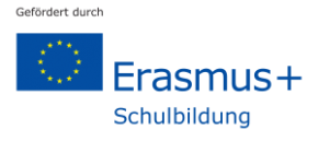 erasmus logo